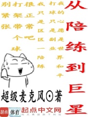 从陪练到巨星起点小说