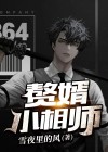赘婿 小姐