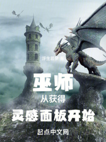 巫师从获得灵感面板开始 小说