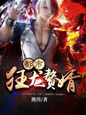 都市之狂龙赘婿叶锋