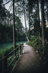 你和我的未来免费