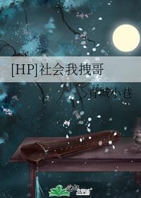 [hp]社会我拽哥 作者:青城小巷 ...