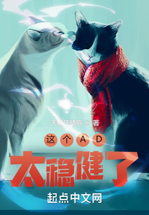 这个AD太稳健了 小说