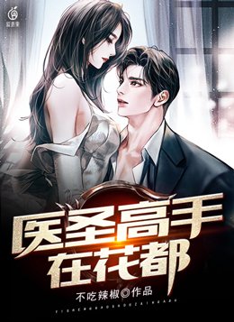 圣医高手在都市小说