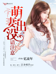 萌妻出没请注意小说