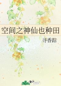 空间之神仙也种田免费阅读