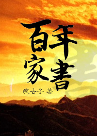 百年家书小说