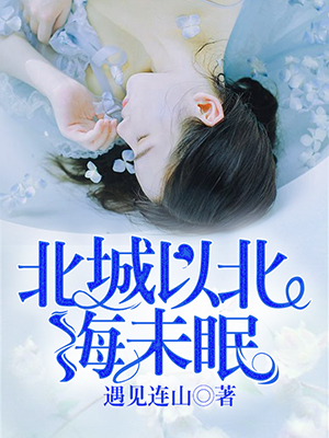 北城以北海未眠小说