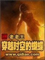 穿越时空的蝴蝶TXT下载