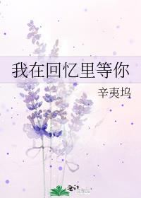 我在回忆里等你