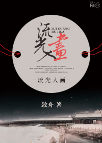 流光入画小说结局