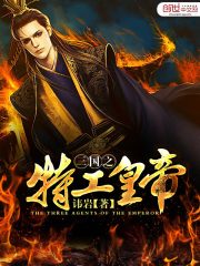 三国之极品特工 小说