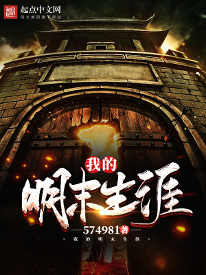 我的明末生涯小说