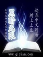 黑暗无限流小说