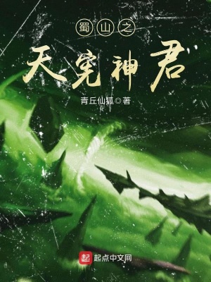 蜀山之天宪神君下载