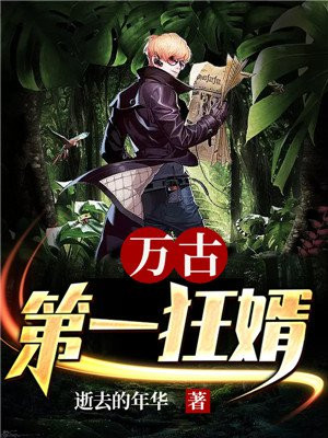 万古第一狂神无弹窗
