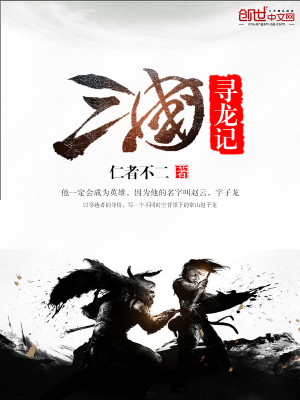 三国寻龙记 小说