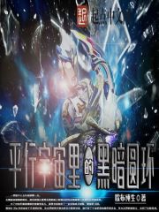平行宇宙里的黑暗圆环 小说