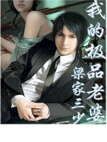 我的极品老婆电视剧第一季免费观看