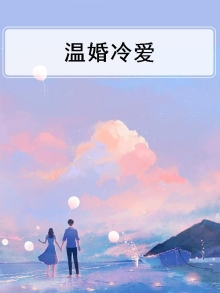 冷婚小说简介