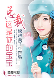 总裁,这是你的宝宝免费阅读