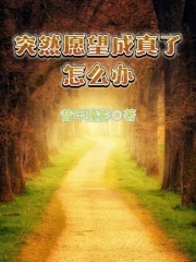 愿望突然实现的诗句