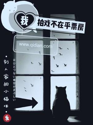 我拍戏不在乎票房txt百度云
