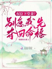 权臣天下 小说