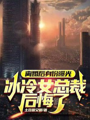 小说离婚后总裁崩溃了
