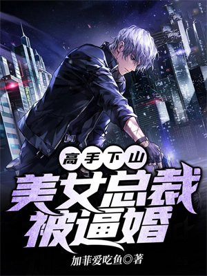 美女总裁之高手无敌