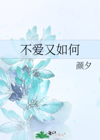 不爱又如何