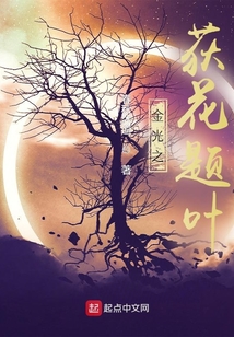金光荻花题叶对风和月的感情