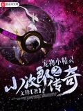 精灵宝可梦小次郎的神奇宝贝
