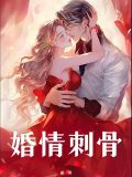 婚情蚀骨小说免费阅读全文