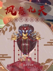 凤舞九天的小说