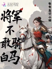 将军不敢骑白马书评