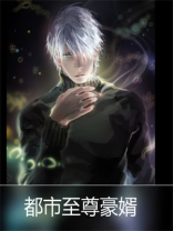 都市至尊豪婿在线