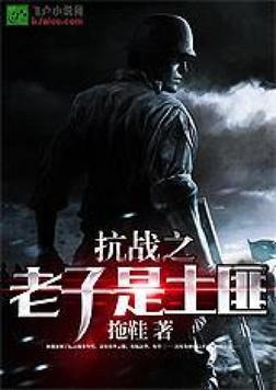 抗战之老子是军阀