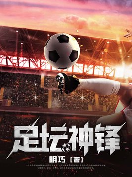 足坛神锋小说
