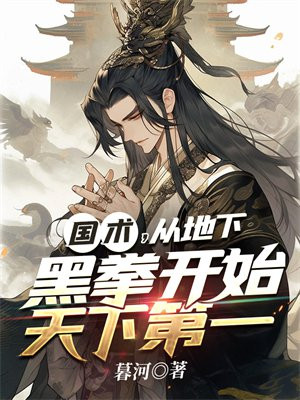 国术黑拳类小说