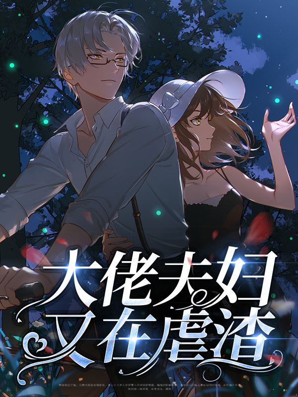 大佬夫人又学渣