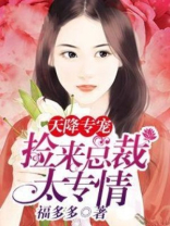 天降专宠捡来总裁太钟情TXT下载