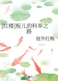 红楼板儿的科举之路TXT下载
