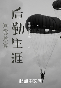 我的亮剑后勤生涯 小说