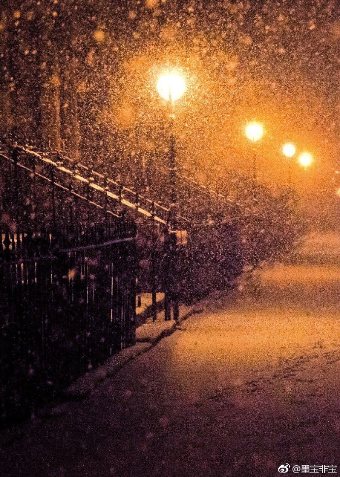在暴雪时分小说