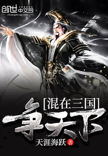 混在三国争天下刘宇