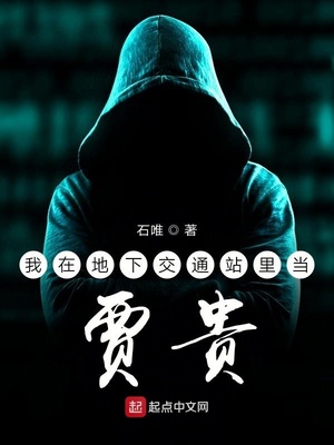 地下交通站之贾贵队长