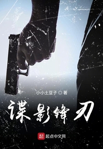 谍影锋刃免费阅读