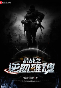 抗战雄魂免费阅读目录完整版