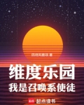 维度乐园,我是召唤系使徒笔趣阁